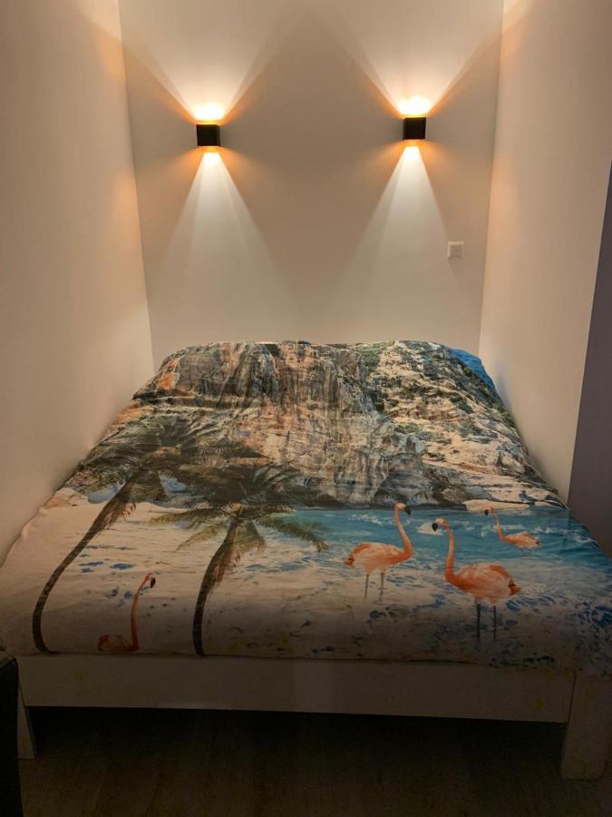 زاندفورت Blissiebeachhouse المظهر الخارجي الصورة